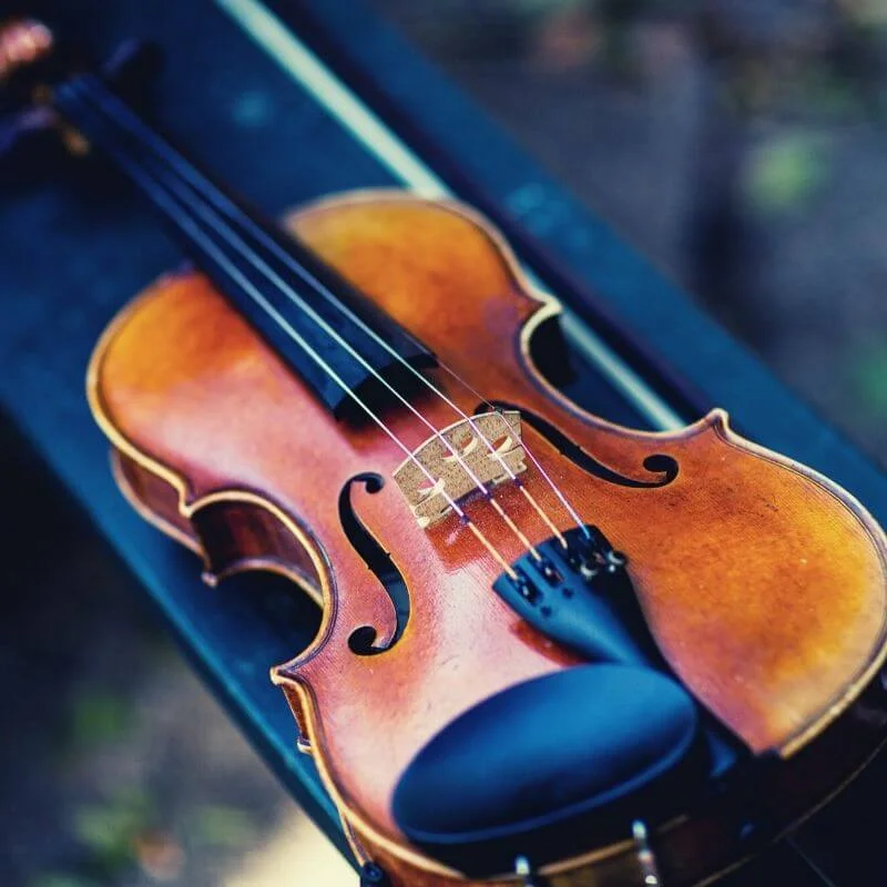Violin